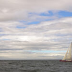 Bots Photos 202511016 au 20251021_DSC07158.resized