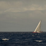 Bots Photos 202511016 au 20251021_DSC07260.resized