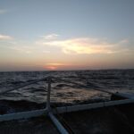 photo_2025-10-16_22-15-26