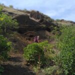 Fogo photo_2025-11-26_13-25-02