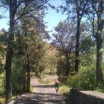 Fogo photo_2025-11-26_13-25-19