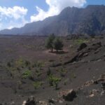 Fogo photo_2025-11-26_13-25-54