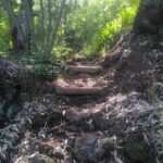 Fogo photo_2025-11-26_13-25-58