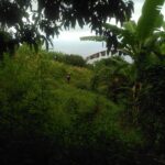 Fogo photo_2025-11-26_13-26-00