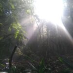 Fogo photo_2025-11-26_13-26-09