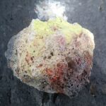 Fogo photo_2025-11-26_13-26-10