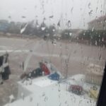 Photo de Picolo Loco(2)