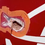 Tarrafal photo_2025-11-19_17-47-27