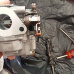 Tarrafal photo_2025-11-19_17-47-39