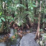 photo_2025-12-27_17-51-25