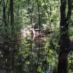 photo_2025-12-27_17-51-36