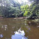 photo_2025-12-27_17-51-43