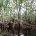 photo_2025-12-27_17-52-41