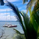 IMG-20260112-WA0047(1)