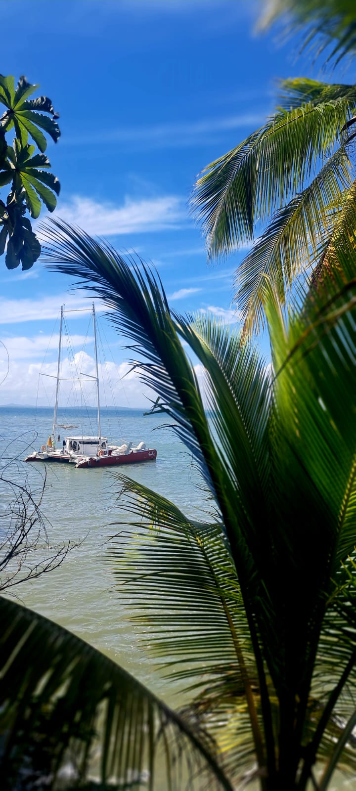 Guyane 3 Salut et Fourmilière