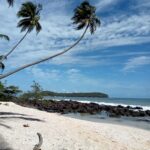 WhatsApp Image 2026-01-12 at 15.07.54