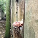 WhatsApp Image 2026-01-12 at 15.07.59