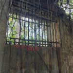 WhatsApp Image 2026-01-12 at 15.08.00