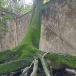 WhatsApp Image 2026-01-12 at 15.08.03