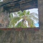 WhatsApp Image 2026-01-12 at 15.08.08