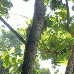 WhatsApp Image 2026-01-12 at 19.57.29