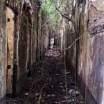 WhatsApp Image 2026-01-13 at 00.00.49(1)