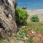 Carriacou_WhatsApp Image 2026-02-15 at 02.50.15