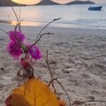 Carriacou_WhatsApp Image 2026-02-15 at 02.50.16(1)