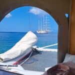 Tobago WhatsApp Image 2026-02-08 at 18.01.32