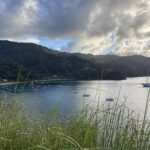 Tobago WhatsApp Image 2026-02-10 at 19.14.14