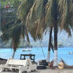 Tobago WhatsApp Image 2026-02-10 at 19.14.24