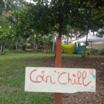 WhatsApp Image 2026-01-17 at 09.12.35(1)