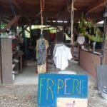 WhatsApp Image 2026-01-17 at 09.12.35(10)