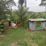 WhatsApp Image 2026-01-17 at 09.12.35(13)