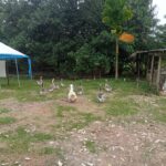 WhatsApp Image 2026-01-17 at 09.12.35(2)