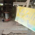 WhatsApp Image 2026-01-17 at 09.12.35(7)