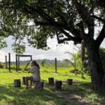 WhatsApp Image 2026-01-17 at 11.25.59