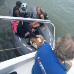 WhatsApp Image 2026-01-19 at 14.41.42(1)