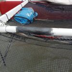 WhatsApp Image 2026-01-20 at 12.52.50(1)