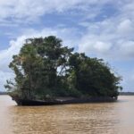 WhatsApp Image 2026-01-21 at 17.41.10