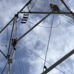 WhatsApp Image 2026-01-24 at 16.46.03