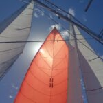 WhatsApp Image 2026-03-26 at 11.11.46