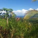 WhatsApp Image 2026-03-26 at 11.11.47