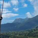 WhatsApp Image 2026-03-26 at 12.19.50(4)