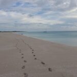 Mars Avril 2026 Guada_Barbuda_St Barth_WhatsApp Image 2026-04-18 at 02.12.09