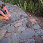Mars Avril 2026 Guada_Barbuda_St Barth_WhatsApp Image 2026-04-20 at 02.58.51(2)