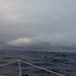 IMG-20260703-WA0002